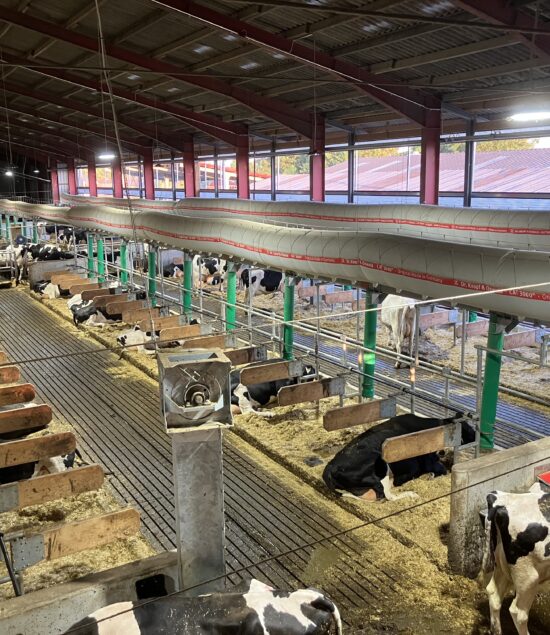 Pahren Agrar Verwaltungs- und Vermarktung GmbH & Co. Produktion KG